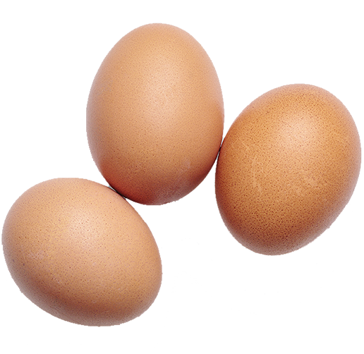 Eggs Eggs